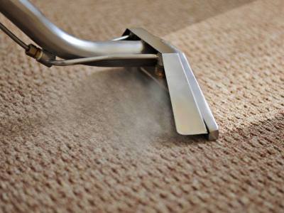 Advanced Floor Care & Moldings Carpet Cleaning